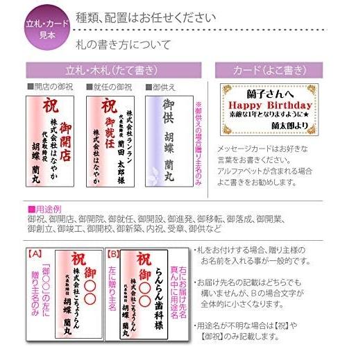 【推し】 胡蝶蘭専門店はなやか 胡蝶蘭 白大輪 3本立ち 24輪以上 【1737842960】(10963円)