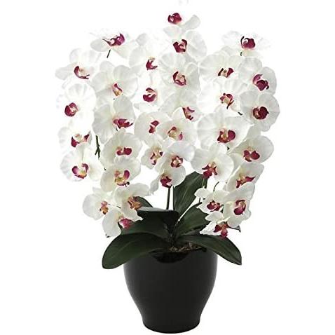 光触媒 造花 光の楽園 プレミアム胡蝶蘭W/AB 661A125 光触媒 造花 光の楽園 プレミアム胡蝶蘭W/AB 661A125