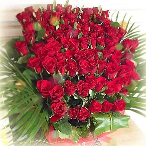 全商品オープニング価格特別価格 ビズフラワーアレンジメントバラ100本 開店 会社 お祝い イベント 贈り物 薔薇 感謝 華やか 豪華 ユニコーンストア 通販 Yahoo ショッピング 最安値 Www Maxipiso Com Ar