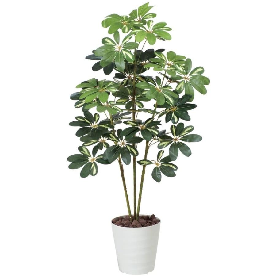 【まとめ売り】 光触媒 人工観葉植物 光の楽園 カポック斑入り1.2m 371A150 【R1926318820】(12152円)