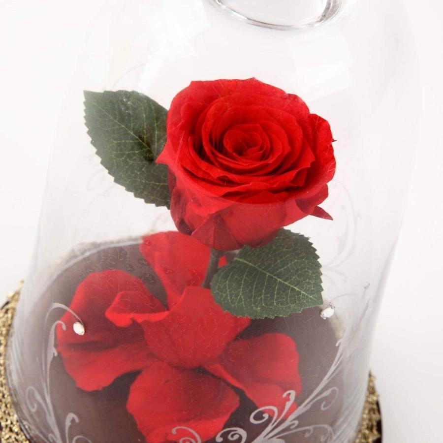 新規購入 美女と野獣 薔薇 ローズドーム ガラスドーム 魔法の薔薇 プリザ アレンジ 最高の Tiebreak Fr