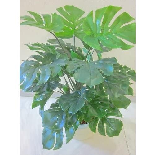 光触媒 観葉植物 造花 モンステラ アートフラワー 光触媒 観葉植物 造花 モンステラ アートフラワー