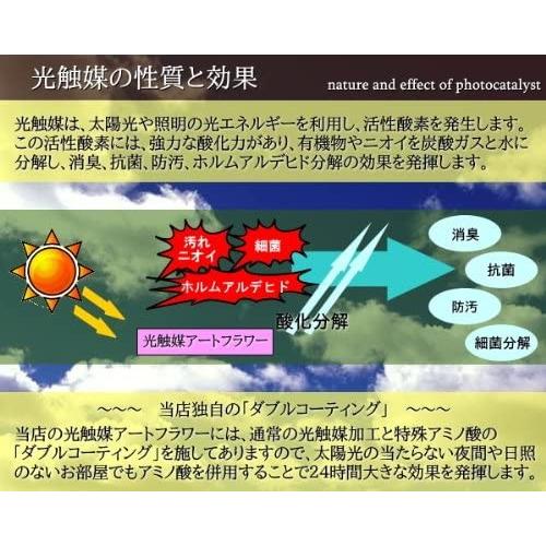 光触媒 観葉植物 造花 モンステラ アートフラワー 光触媒 観葉植物 造花 モンステラ アートフラワー