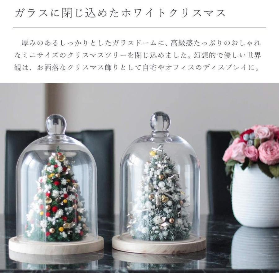 早割クーポン Makefuture クリスマスツリー ミニ おしゃれ ドームツリー 白 卓上 26cm インテリア プリザーブドフラワー ドライフラワー 魅力的な Jeannesauve Org