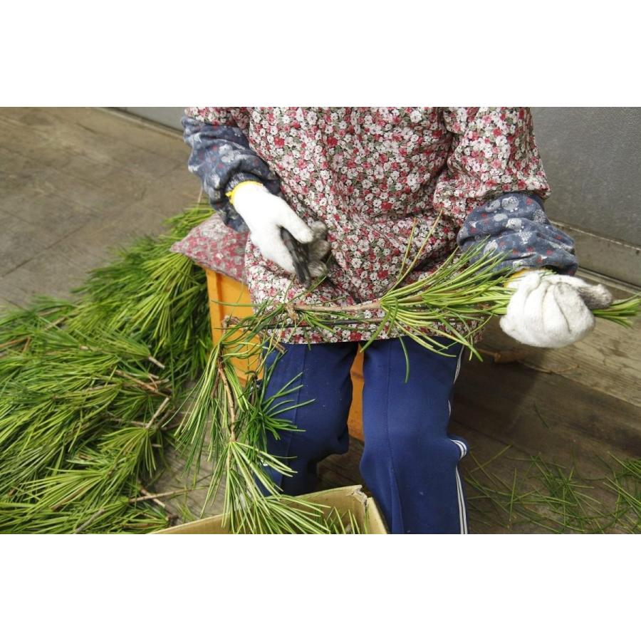 高野槇 コウヤマキ お供え用束 50cm 高野山の霊木 墓花用 お供え 墓前 祭壇 005 ユニコーンストア 通販 Yahoo ショッピング