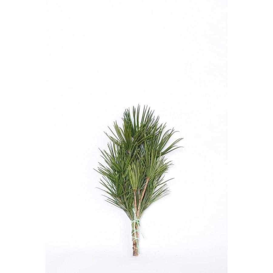 高野槇 コウヤマキ 仏花の花台 50cm 高野山の霊木 墓花用 お供え 墓前 祭壇 ユニコーンストア 通販 Yahoo ショッピング