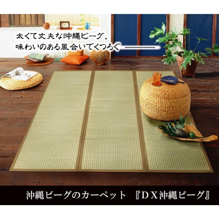 テレビで話題 イケヒコ い草 ラグ カーペット Dx沖縄ビーグ 約191 191cm 日本製 裏 不織布 Babylonrooftop Com Au