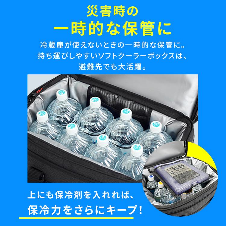 IRIS OHYAMA（アイリスオーヤマ） クーラーボックス 大型 40L ソフト