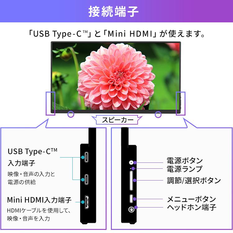 IRIS OHYAMA（アイリスオーヤマ） モバイルモニター pcモニター 15.6