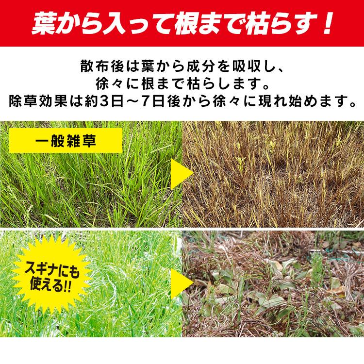 IRIS OHYAMA（アイリスオーヤマ） 除草剤 希釈タイプ 500ml 速効 強力