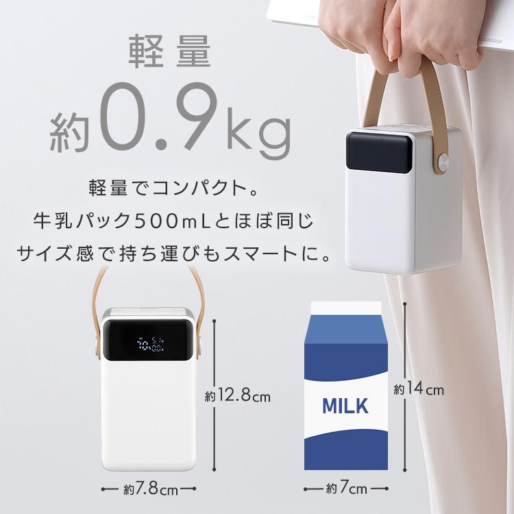 IRIS OHYAMA（アイリスオーヤマ） バッテリーステーション 32000mAh