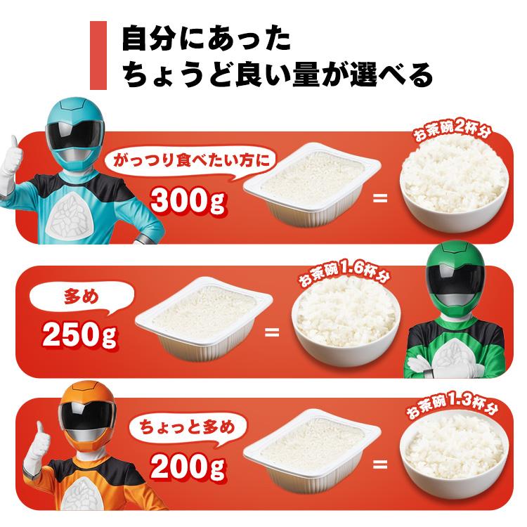 IRIS OHYAMA（アイリスオーヤマ） パックご飯 レトルトご飯 120g 40食