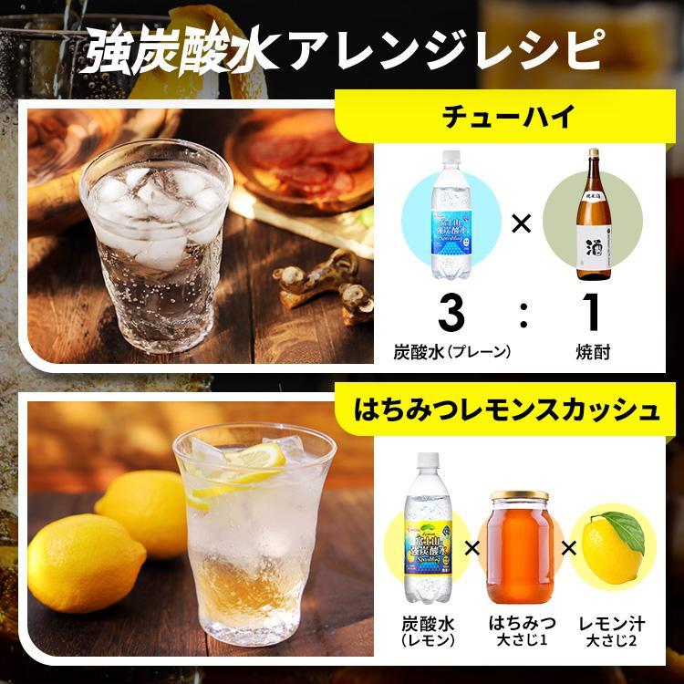炭酸水 500ml 48本 最安値 強炭酸水 レモン ラベルレス グレープフルーツ アイリスオーヤマ アイリス 国産 日本製 富士山 | IRIS OHYAMA | 01