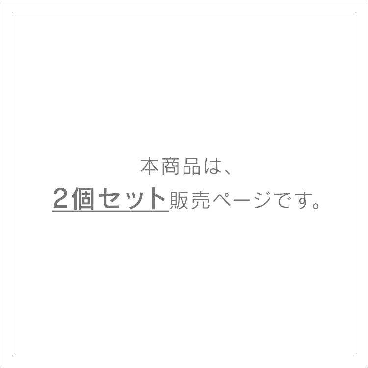 プラグ 2個セット スマホ操作 遠隔操作 スマートプラグ タイマー 音声操作 簡単 家電 一人暮らし 外出先 SMT-PL1 アイリスオーヤマ｜unidy-y｜02