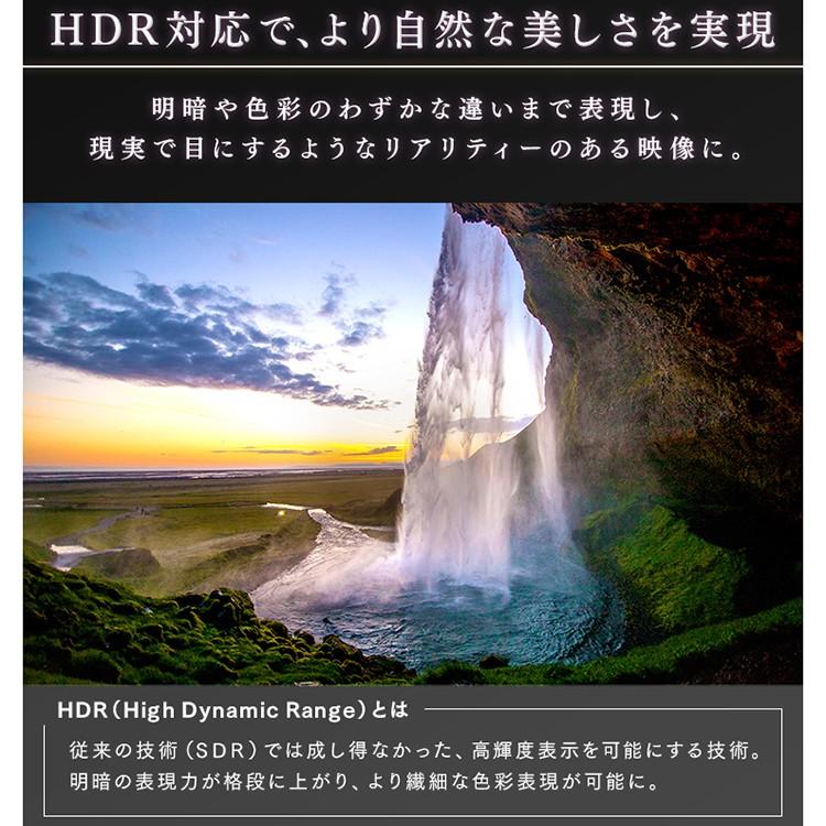 IRIS OHYAMA テレビ 65型 液晶テレビ 65インチ 新品 本体 4K 4Kテレビ