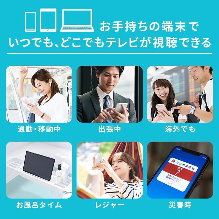 IRIS OHYAMA（アイリスオーヤマ） テレビチューナー ワイヤレス TV