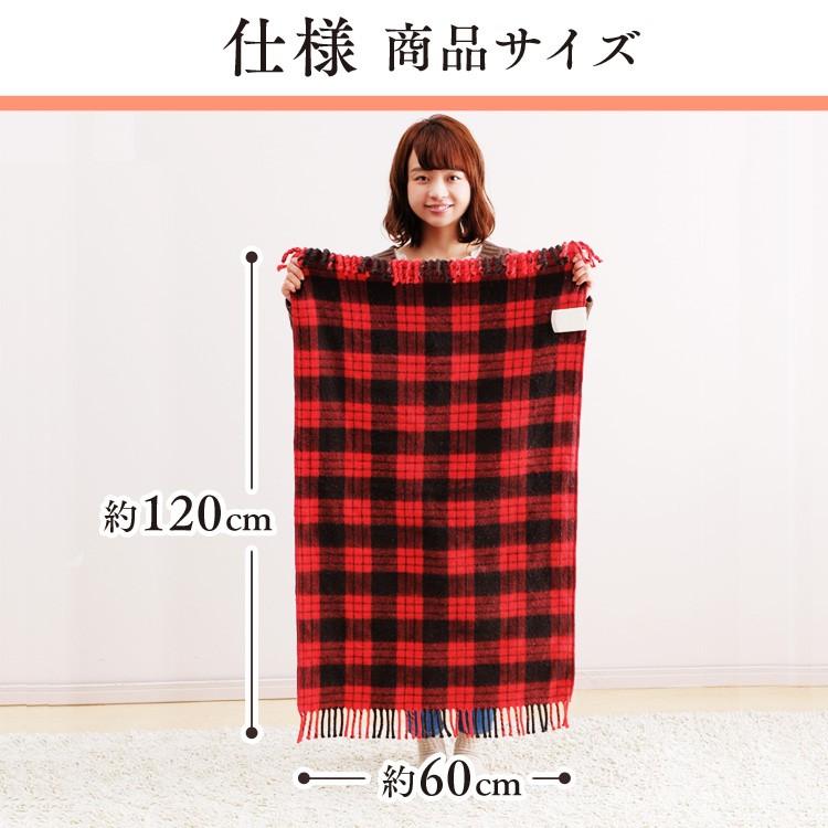 IRIS OHYAMA（アイリスオーヤマ） 電気毛布 120×60cm 敷き毛布