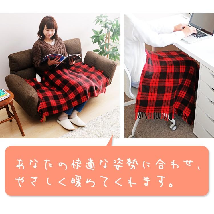 電気毛布 電気毛布 ひざ掛け ebk-1206-zr ブランケット 大判 洗える 60