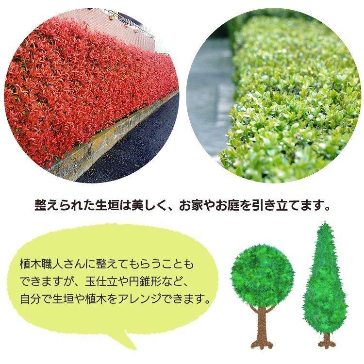 IRIS OHYAMA（アイリスオーヤマ） 草刈り機 ヘッジトリマー コード式