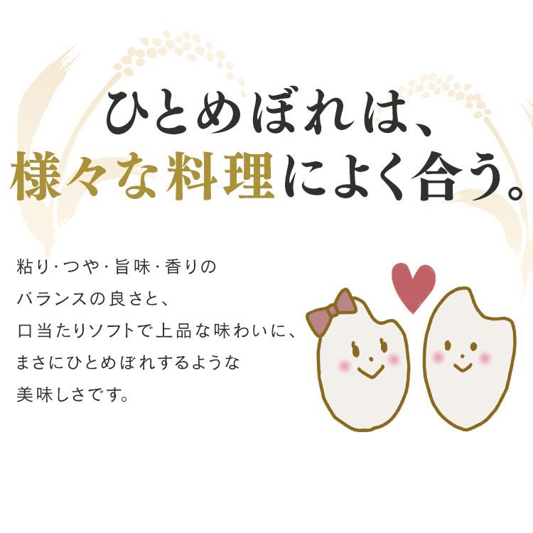 米 10kg 送料無料 選べる 精米 5kg 10kg  令和5年産 低温製法米 精米 お米 10キロ 密封パック ご飯 ごはん アイリスフーズ｜unidy-y｜05