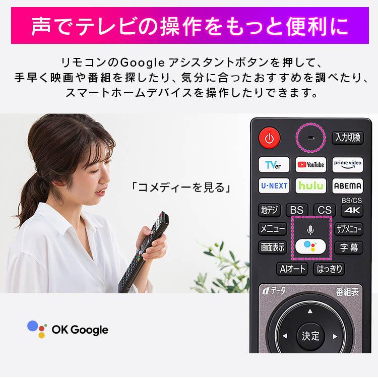 IRIS OHYAMA（アイリスオーヤマ） 4Kチューナー内蔵液晶テレビ 65V型