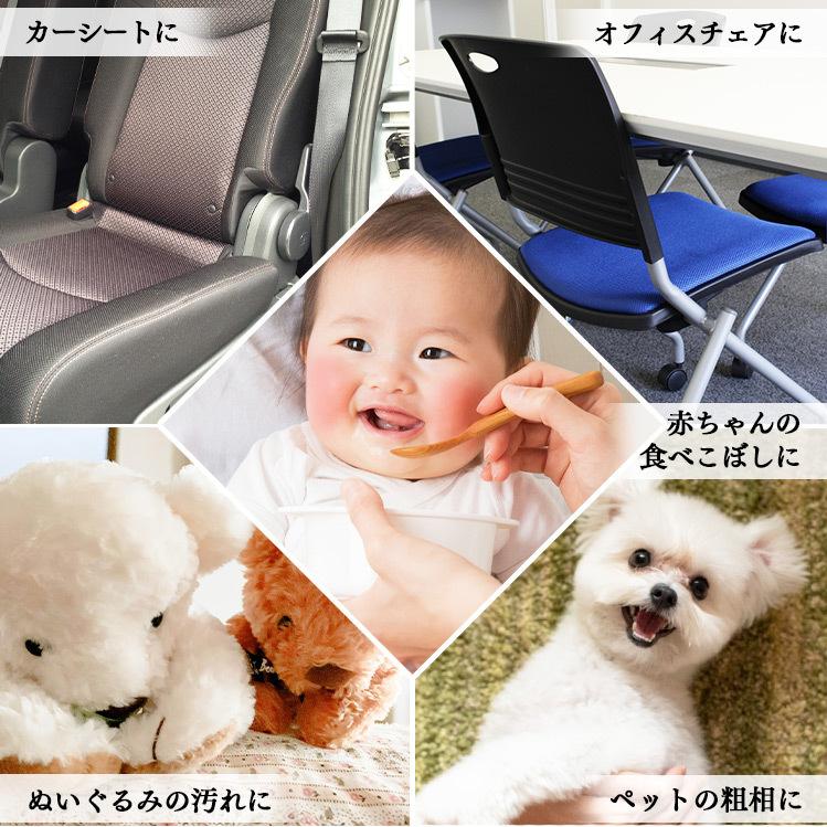 IRIS OHYAMA（アイリスオーヤマ） リンサークリーナー 絨毯 床掃除 車