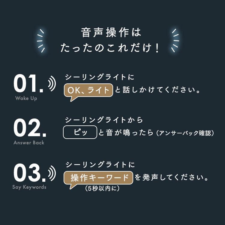 シーリングライト LED 8畳 おしゃれ 照明器具 天井 調光調色 音声操作 パネルライト CEK-A08DLPV アイリスオーヤマ 一人暮らし 新生活[B] *｜unidy-y｜06