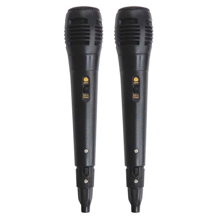 カラオケプレーヤー カラオケ セット 家庭用 機器 カラオケマイク 採点