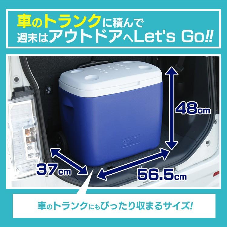 クーラーボックス 大型 釣り 保冷 48L 保冷力 ハードクーラー