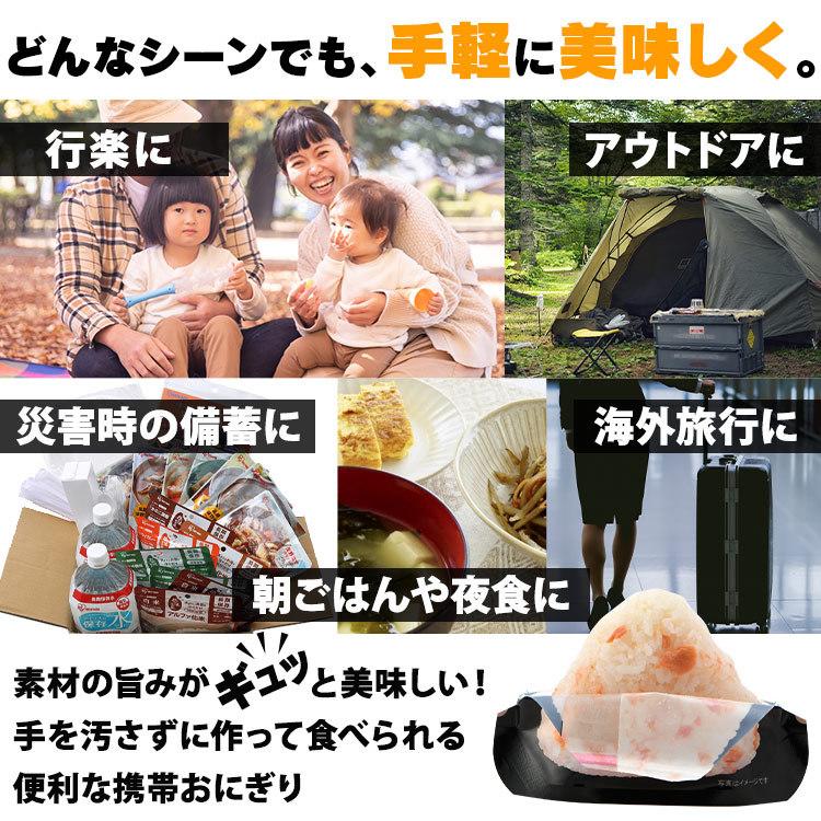 尾西食品 非常食 おにぎり 携帯おにぎり アルファ米 防災セット