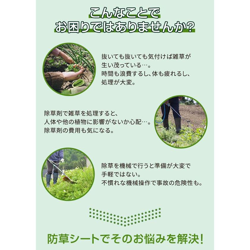 防草シート 1m 1m×10m 2個セット 人工芝 砂利 防草シート2枚組(Uピン杭