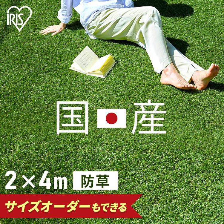 人工芝 2m×4m ロール 幅2m 防草 防草シート不要 アイリスオーヤマ 芝生 セミオーダー  継ぎ目なし アイリス 人工芝ピン リアル人工芝 庭 ガーデニング 犬（Yahoo!・ゆにでのこづち Yahoo!店）