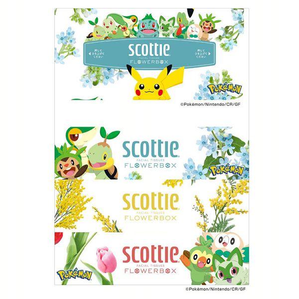 スコッティ（scottie） ティッシュ ボックスティッシュ 18個セット箱