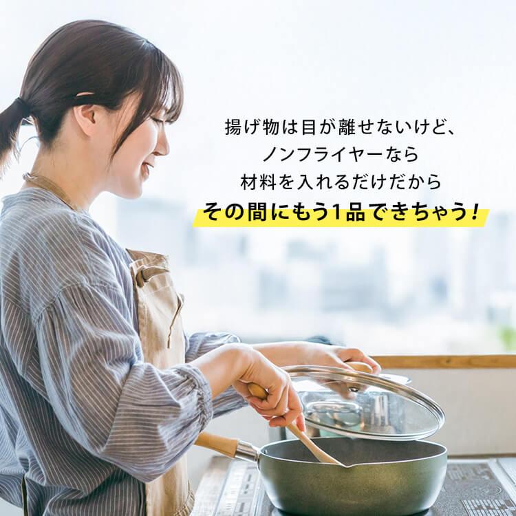 ヒロ・コーポレーション フライヤー 電気フライヤー 家庭用 卓上 電気
