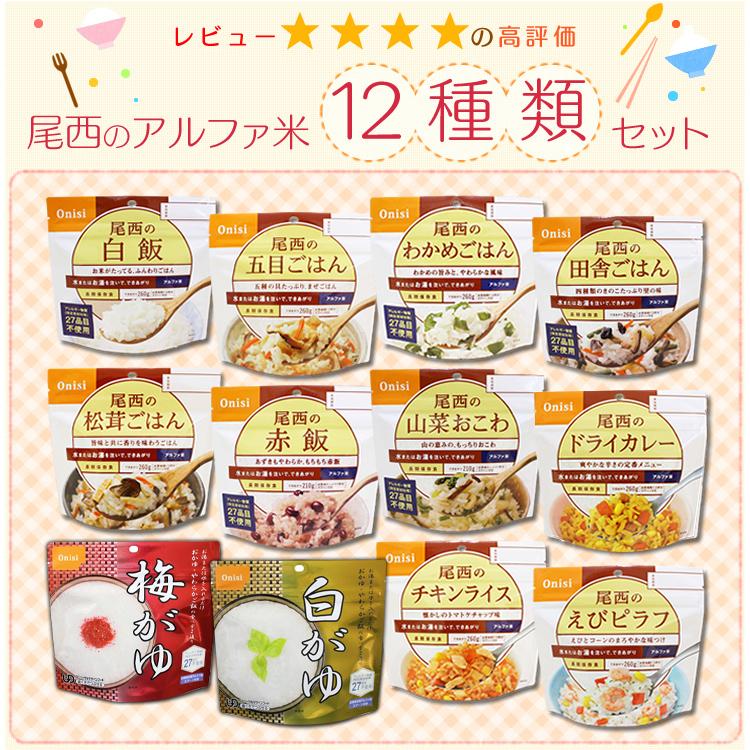 尾西食品 非常食 セット 防災食 保存食 アルファ米 非常食セット