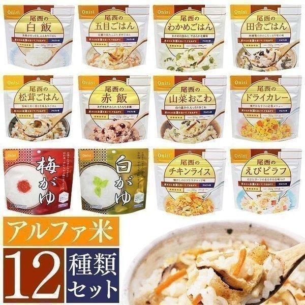 尾西食品 非常食 セット 防災食 保存食 アルファ米 非常食セット