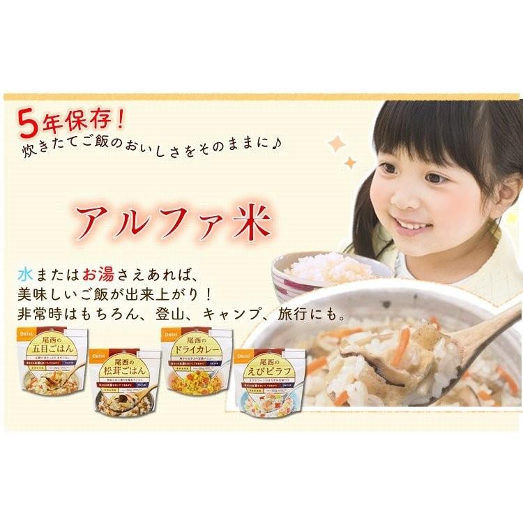 尾西食品 非常食 セットアルファ米 尾西 米 ご飯 6種セット 5年
