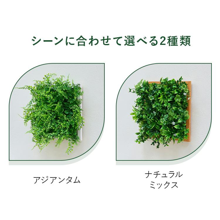 【人気商品】ISL ウォールグリーン フェアリー 25×25cm 8枚セット フ 楽天市場】フェイクグリーン 壁掛け ウォールグリーン 4枚セット 25