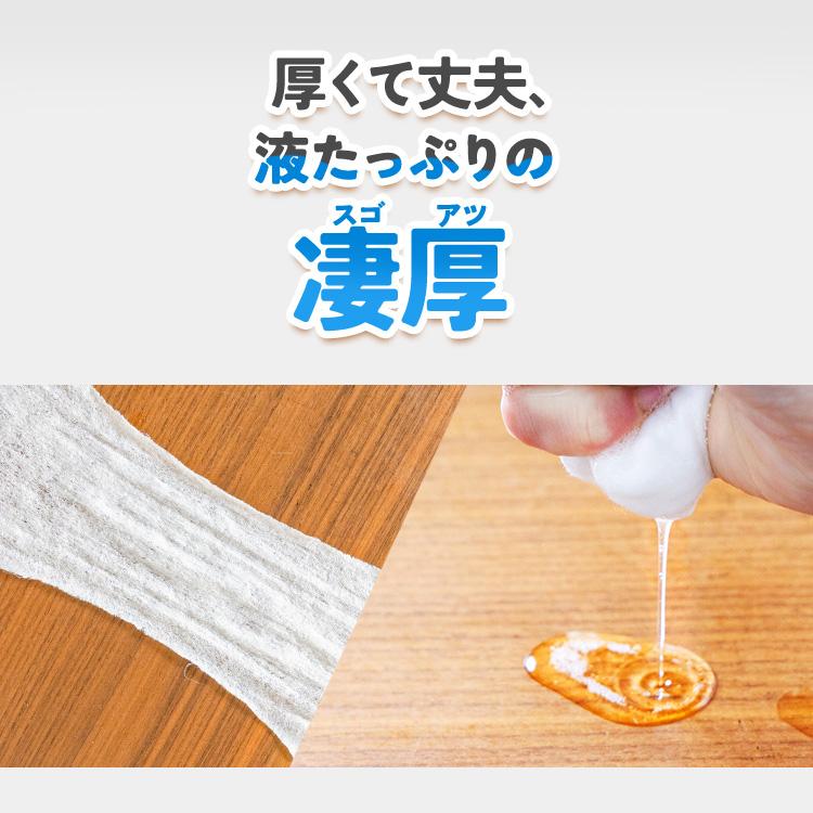 ウェットティッシュ 除菌 除菌シート ケース ロール アイリスオーヤマ アルコール ノンアルコール 厚手 極厚 凄厚 本体 詰め替え 2個セット | IRIS OHYAMA | 04