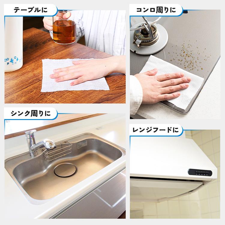 ウェットティッシュ 除菌 除菌シート ケース ロール アイリスオーヤマ アルコール ノンアルコール 厚手 極厚 凄厚 本体 詰め替え 2個セット | IRIS OHYAMA | 06