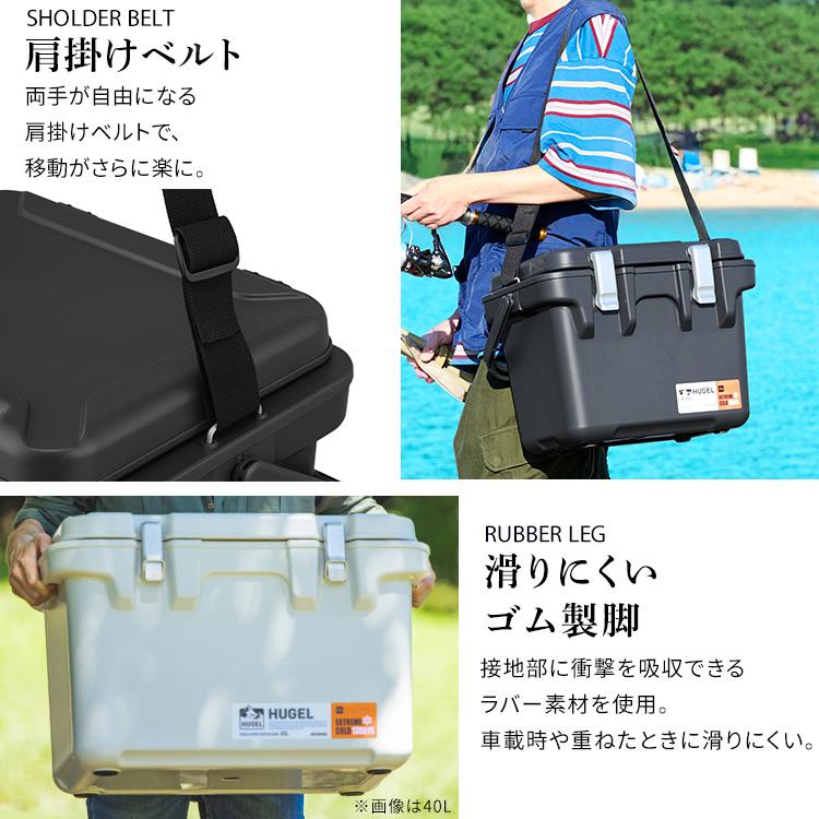 IRIS OHYAMA（アイリスオーヤマ） クーラーボックス 小型 15L 釣り