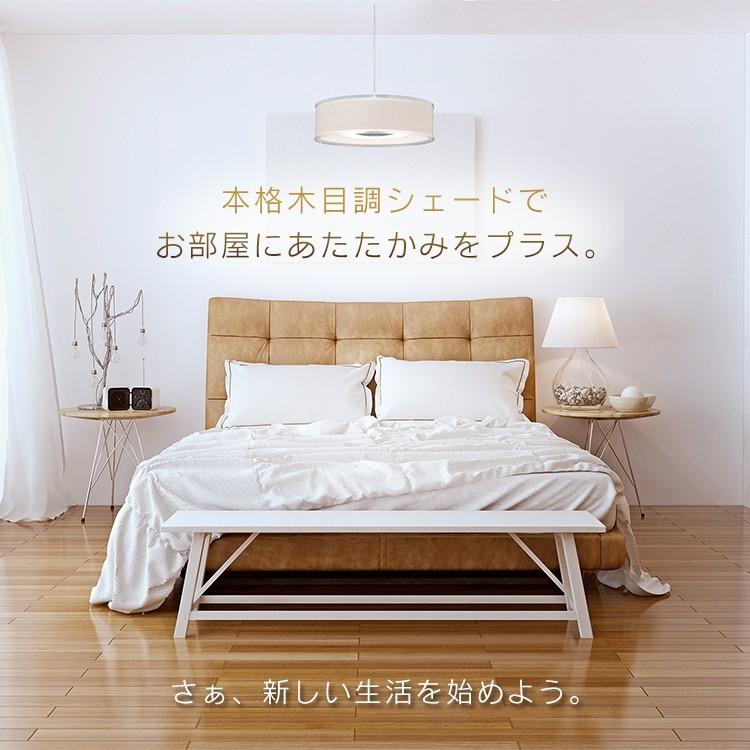 HDFury 4K Diva と Diva用ライトリボン（65インチ） HDFury 4K Diva と Diva用ライトリボン（65インチ） 4K Diva