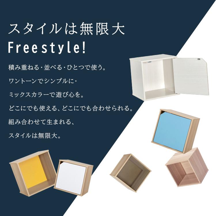 IRIS OHYAMA（アイリスオーヤマ） カラーボックス 収納 扉 北欧