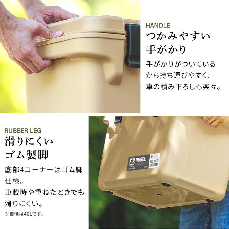 IRIS OHYAMA（アイリスオーヤマ） クーラーボックス 小型 20L 釣り