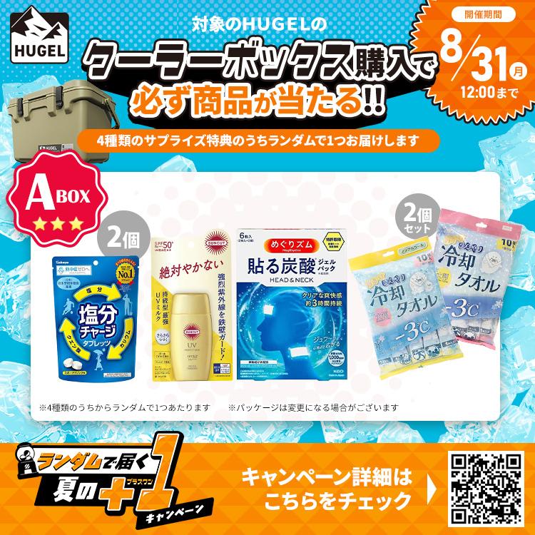 IRIS OHYAMA（アイリスオーヤマ） クーラーボックス 大型 釣り 40L