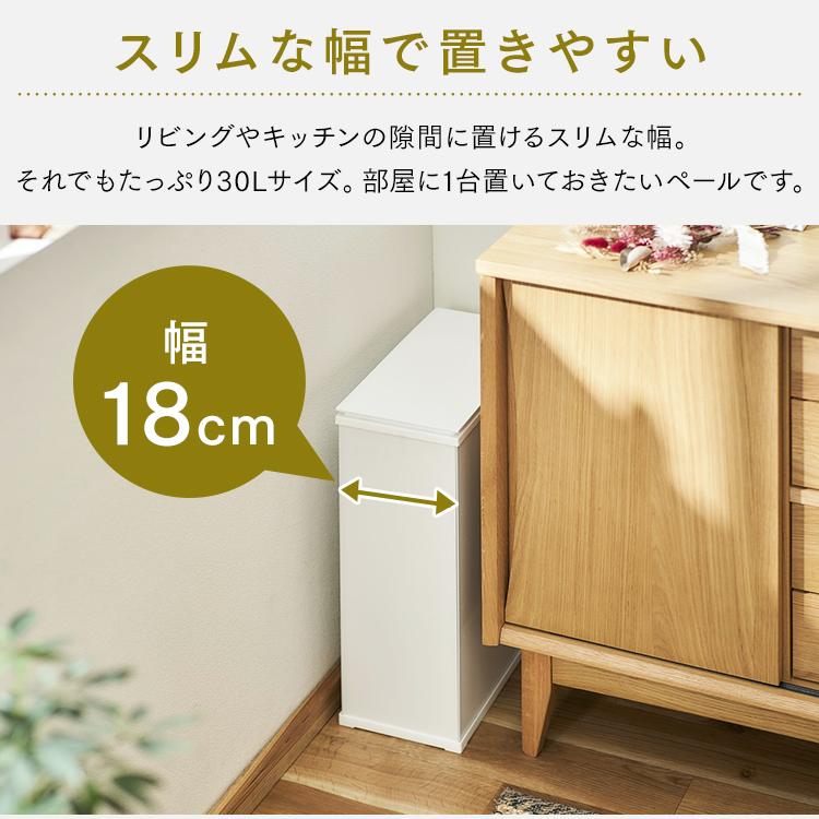 IRIS OHYAMA（アイリスオーヤマ） ゴミ箱 おしゃれ 北欧 30L 30
