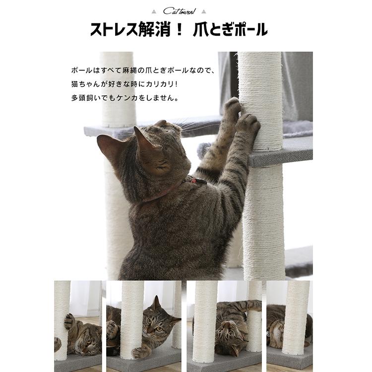 突っ張りキャットタワー CCCT-4060T (D)_11