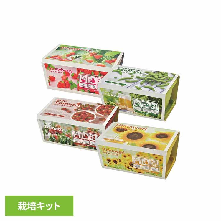 栽培キット 野菜 栽培セット カラープランター 聖新陶芸 SEISHIN ミニ