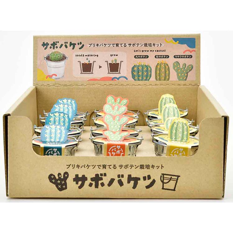 栽培キット 栽培セット サボテン 聖新陶芸 SEISHIN ブリキ製バケツ 種