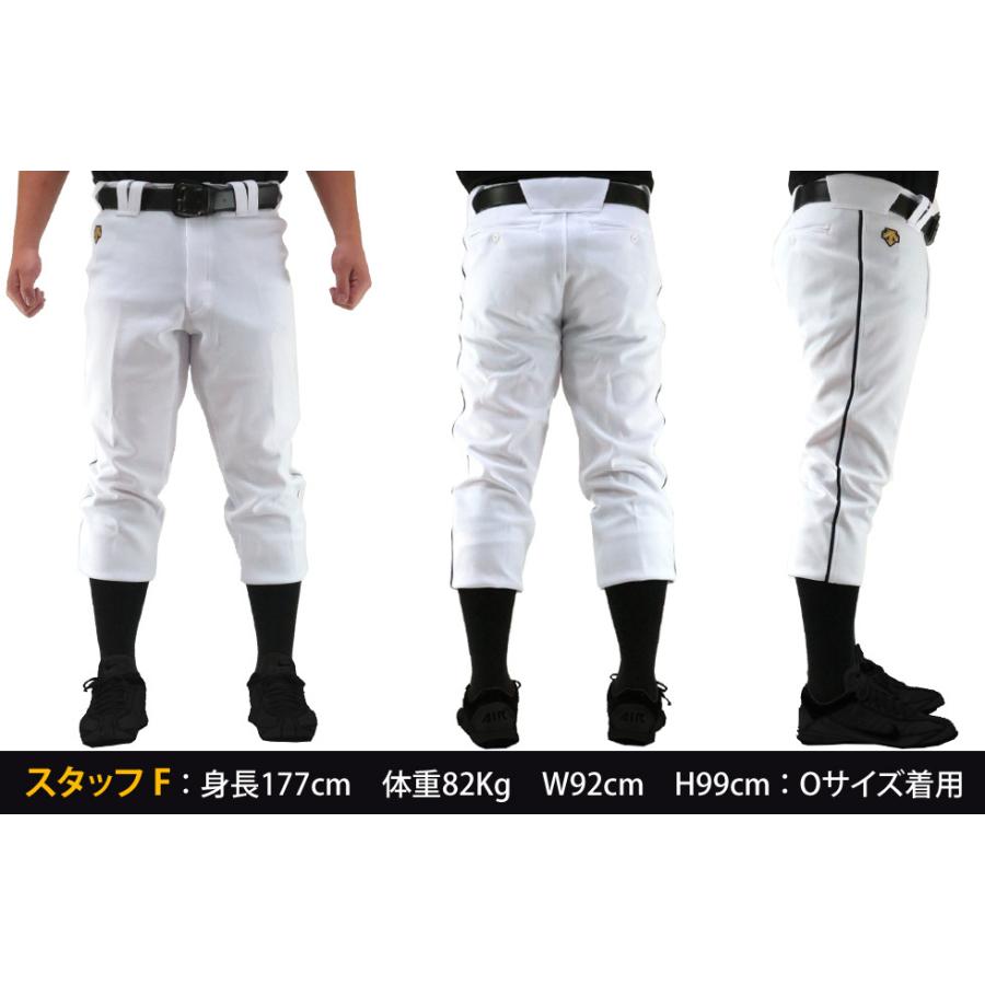 デサント 野球 ユニフォームパンツ ライン入り レギュラーパンツ DB5SHP10M 受注生産品 | DESCENTE | 07
